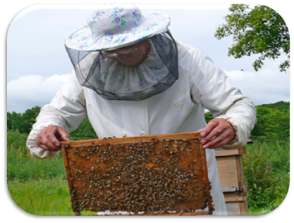 Beekeeping Wears